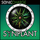 SONIC CHARGE SYNPLANT