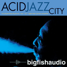 サンプルパック 「ACID JAZZ CITY」 | SONICWIRE