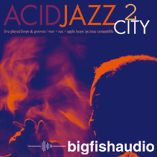 サンプルパック 「ACID JAZZ CITY 2」 | SONICWIRE