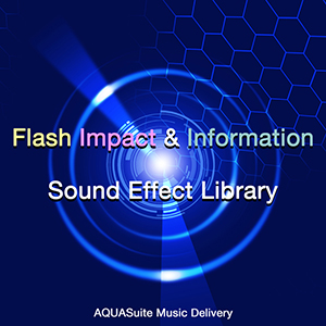 効果音 Flash Impact Information Sonicwire