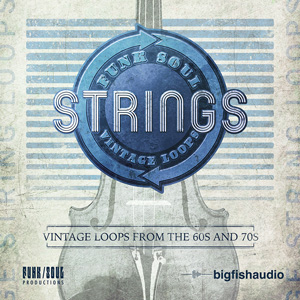 サンプルパック 「FUNK SOUL VINTAGE STRING LOOPS」 | SONICWIRE