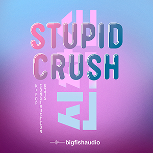 STUPID CRUSH K-POP CONSTRUCTION KITS