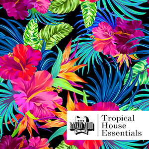 サンプルパック 「TD AUDIO PRESENTS TROPICAL HOUSE KITS」 | SONICWIRE