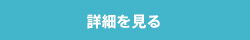 詳細を見る